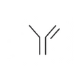 L-Glutamine